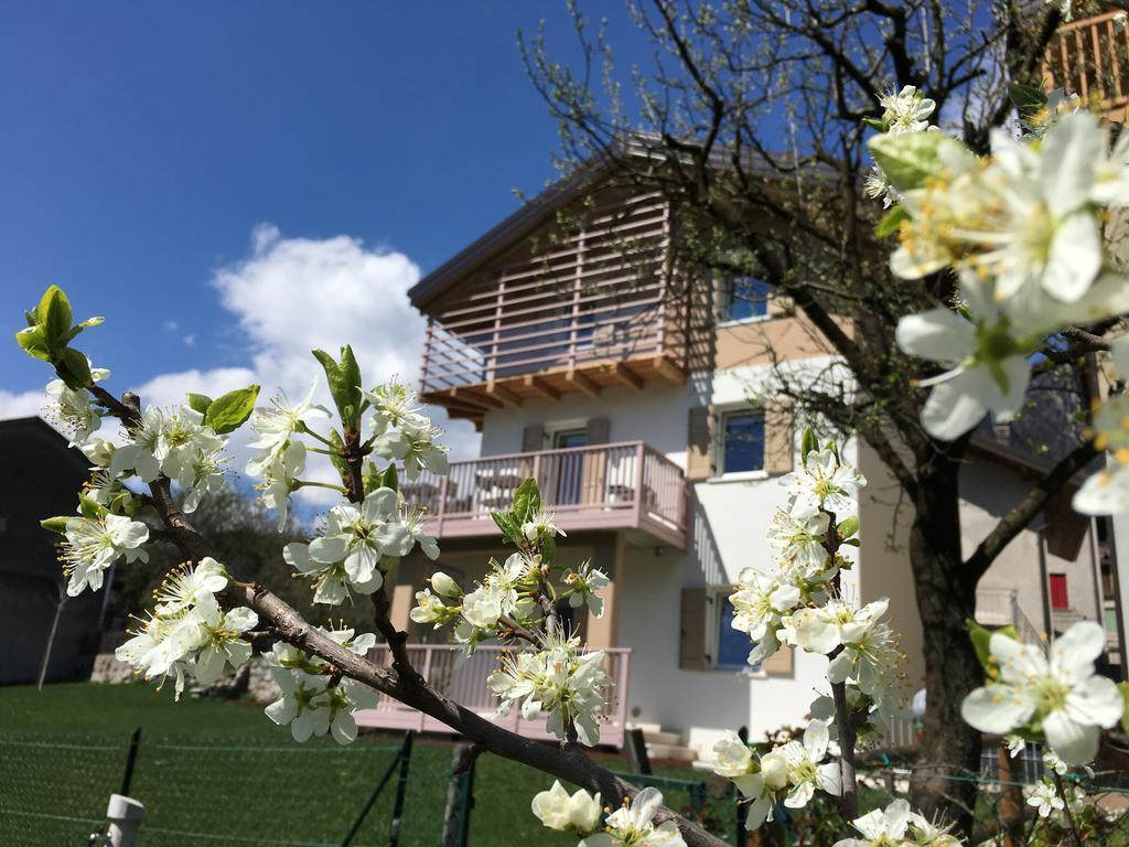 B&B Il Piccolo Principe Room And Breakfast Bieno  Zewnętrze zdjęcie
